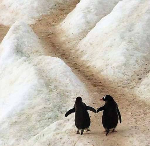 Hold on to your partner, and enjoy the life journey together.