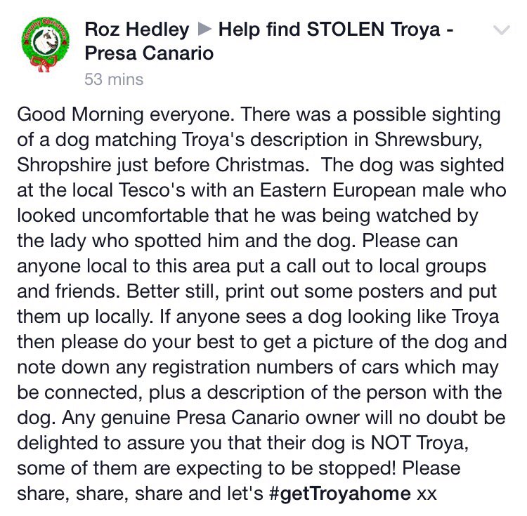 NWDogRescue's tweet photo. Possible sighting Shrewsbury #gettroyahome https://t.co/Khp7lmx94q