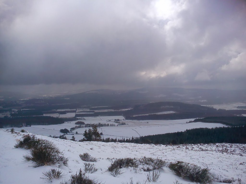 NickBrokenshire's tweet photo. I'm missing my hill today. I yearn to go back. #HillOfFare #Midmar #Aberdeenshire https://t.co/KAUBgNChDq
