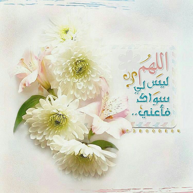 أنـين ألـصـ ۾ ـت (@asdfgse42) on Twitter photo 