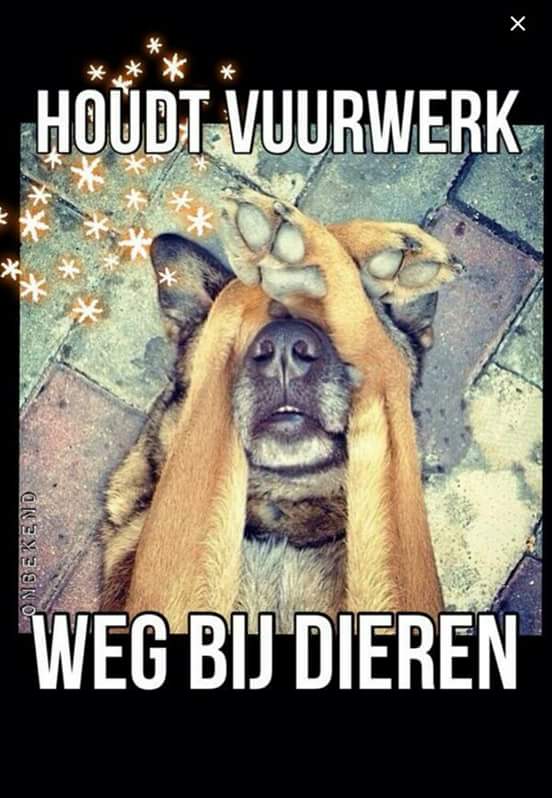 _smit00 tweet picture