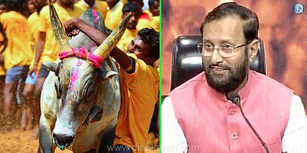 SunTV's tweet image. ஜல்லிக்கட்டு நடத்த 2 நாட்களில் அனுமதி : மத்திய அமைச்சர் பிரகாஷ் ஜவடேகர் உறுதி
goo.gl/Os2GUF