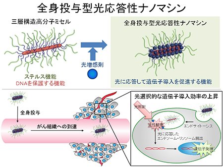 さらどぅ Saradox ナノ社会の脅威 グレイグー ナノマシンは幾何級数的に個体数を増やす 数時間のうちに地球全体がナノマシンの塊である グレイ グー Grey Goo に変化してしまうとされている T Co 7igz0alrj0 T Co Whr7updyax