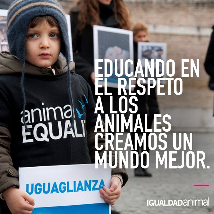 IgualdadAnimal's tweet photo. Educando en el respeto a los animales creamos un mundo mejor #FelizLunes https://t.co/ysClvcz3jT
