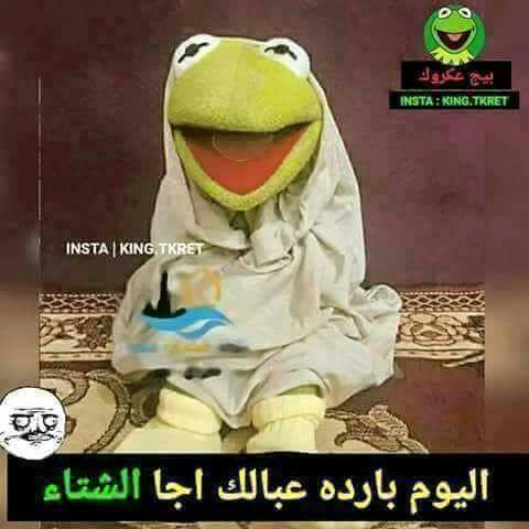 mkhykan's tweet photo. هههههه https://t.co/63w25Nkxnp