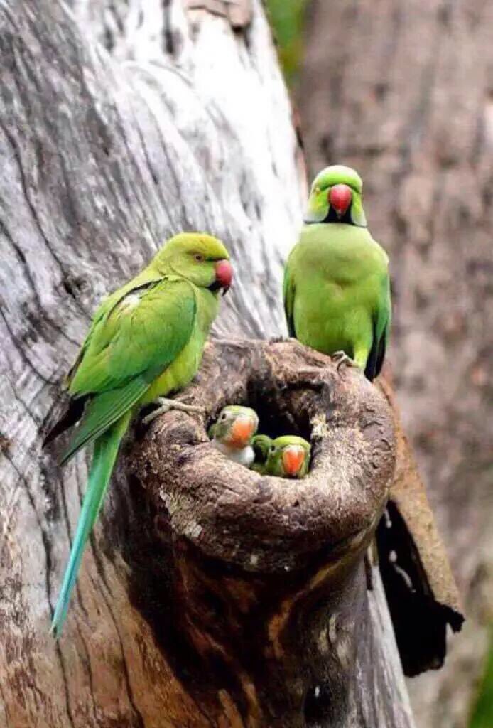 Family!✨😍 #majesticnature