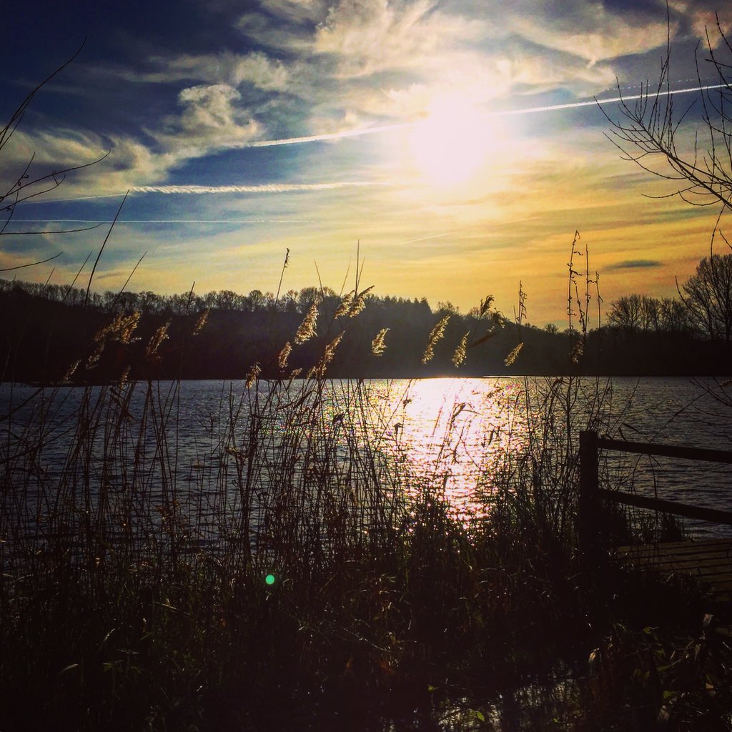 SamHarr32750996's tweet photo. #stockerslake #stockers #rickmansworth #hertfordshire https://t.co/ggCh5GgnSr