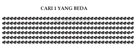 INDONESIAinLOVE's tweet photo. TEST IQ Seberapa Jago Kamu?
Cari 1 gambar Yang beda [baris,kolom berapa]
[YangBenerAdminRetweet] #Tebakan https://t.co/HeZQd7pvZ4
