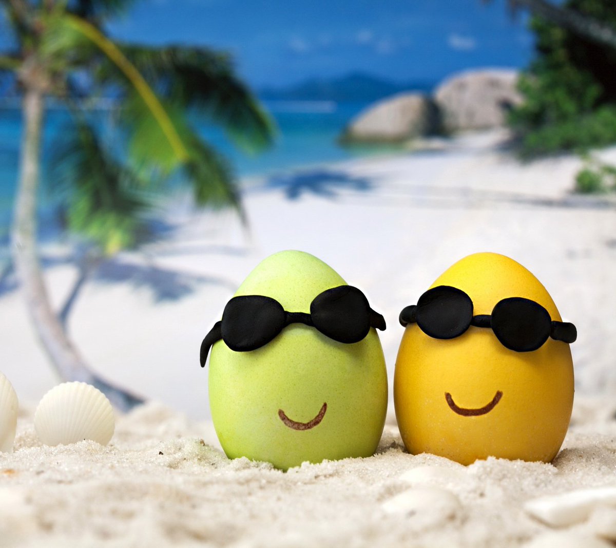 Good Holiday? Sea,Sun &amp; Sand.