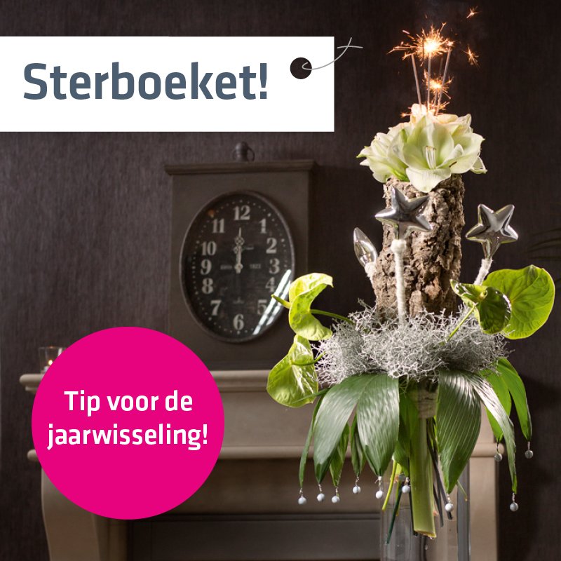 Tip voor de jaarwissel! #sterboeket