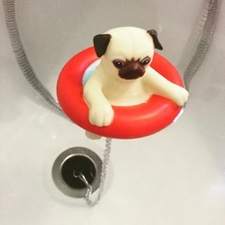 Joy_PhotoCam's tweet photo. My bath pug isn't amused #bathpug #bathplug #bath #weird #notamused #pug #pugs #whynot https://t.co/mEk3x9iyQF https://t.co/E3MDk30rKT