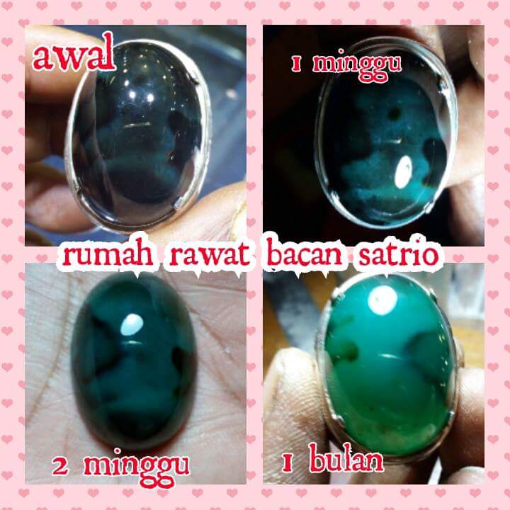 Keindahan bacan karna sebuah proses metamorfosa...titip rawat inap bacan biar cepat kristsl...0818199198