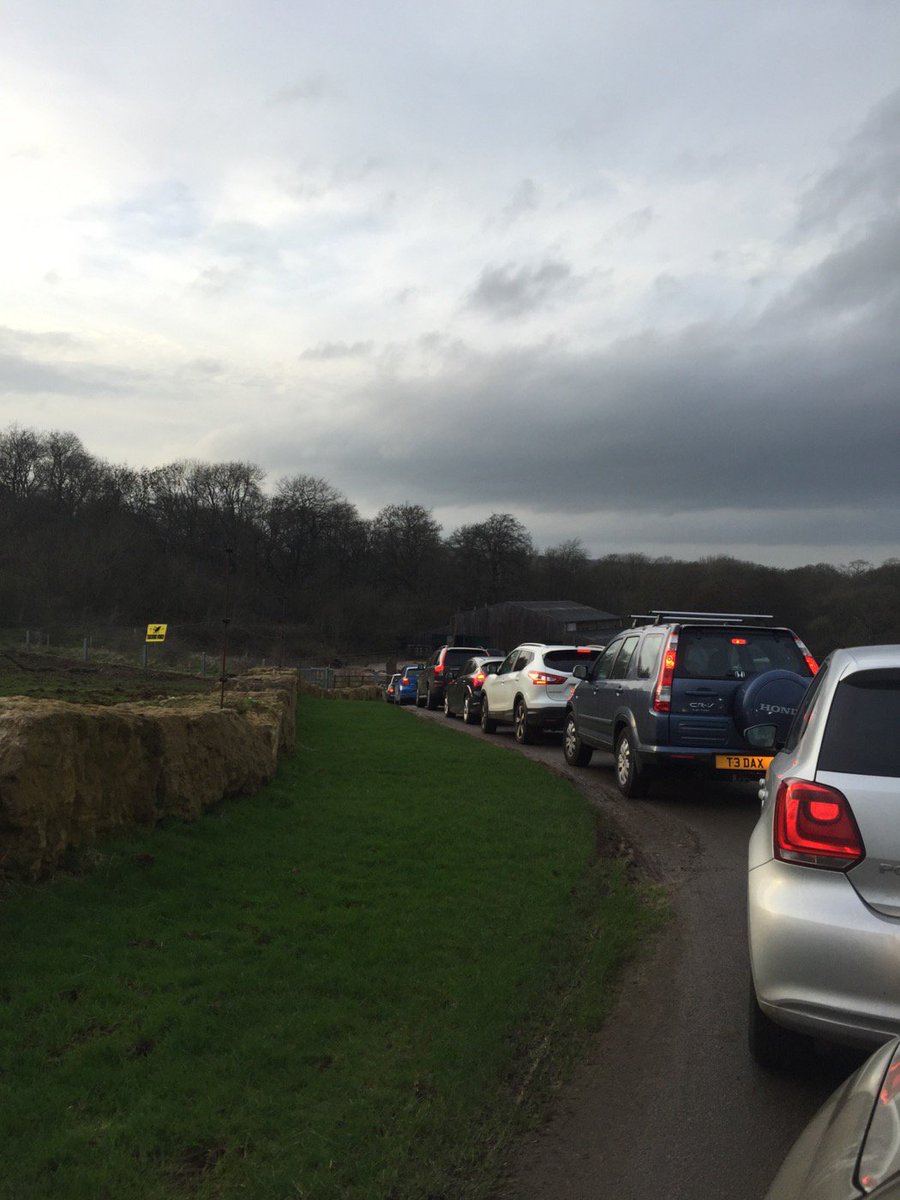 suzannealphonse's tweet photo. Traffics jam @Longleat safari! what a joke! dont think ill be seeing any animals #wantarefund #notworthit#dontcome https://t.co/L3197oCPFO