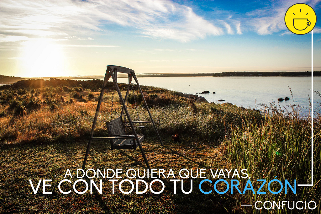 TeaAgency tweet picture