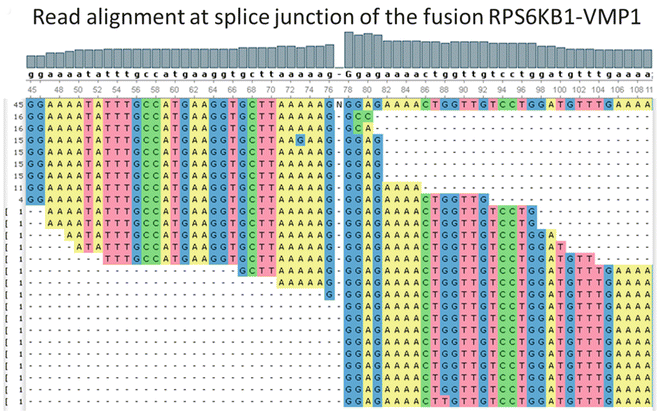 RNASeqBlog's tweet image. #TranscriptomeSequencing for the Detection of #ChimericTranscripts - go.shr.lc/1MDeYRb