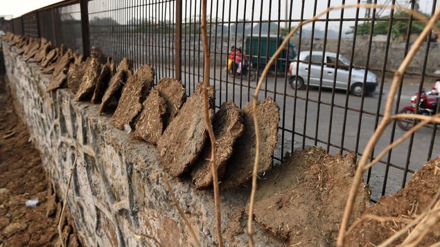 India: Estiércol de vaca se vende como rosquillas en internet bit.ly/1NKUTwc