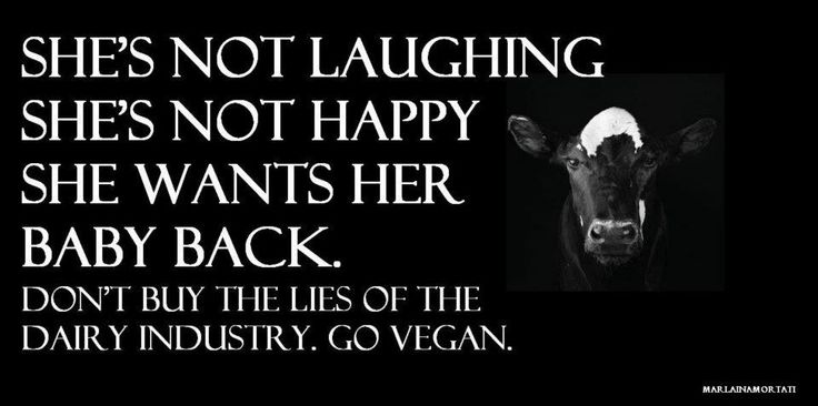 Gülmüyor Reklamlardaki gibi mutlu değil Bebeğini geri istiyor.Süt çiftliği yalanlarını satın almayın <a href="/SutasCiftligi/">Sütaş</a>