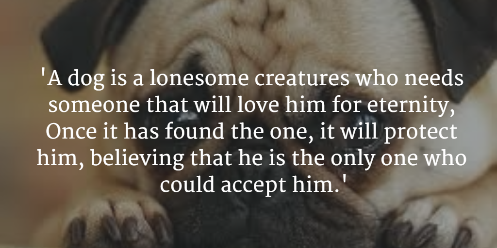 #CanineCareWithMarcTheVet
buff.ly/1IaRC9W