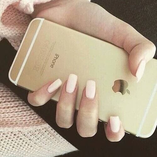 springbian's tweet photo. 31. Te van a regalar un IPhone y solo estan estos modelos, cual elegirias? https://t.co/gU4pFMzdqy
