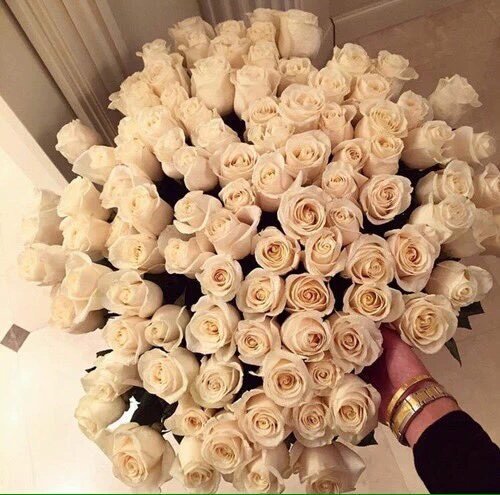 springbian's tweet photo. 39. Si te llegaran flores a tu casa, cual de estas te gustaria que fuesen? https://t.co/rECSOsRZXI
