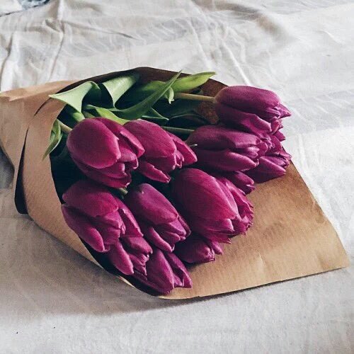 springbian's tweet photo. 39. Si te llegaran flores a tu casa, cual de estas te gustaria que fuesen? https://t.co/rECSOsRZXI