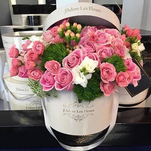 springbian's tweet photo. 39. Si te llegaran flores a tu casa, cual de estas te gustaria que fuesen? https://t.co/rECSOsRZXI