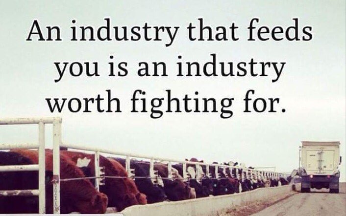 PurdueDairyClub's tweet photo. Couldn't agree more! #farm365 #AG #agchat #dairy https://t.co/MdZvAF5eHQ