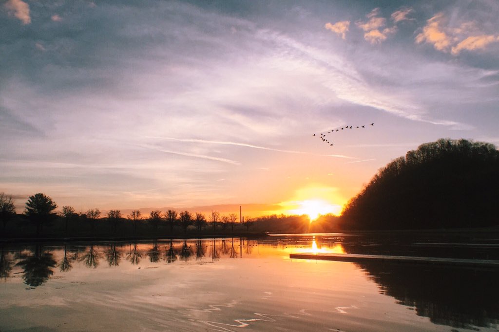 brianmorrow tweet media