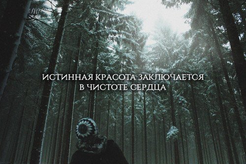 HanenkoKatrin's tweet image. 