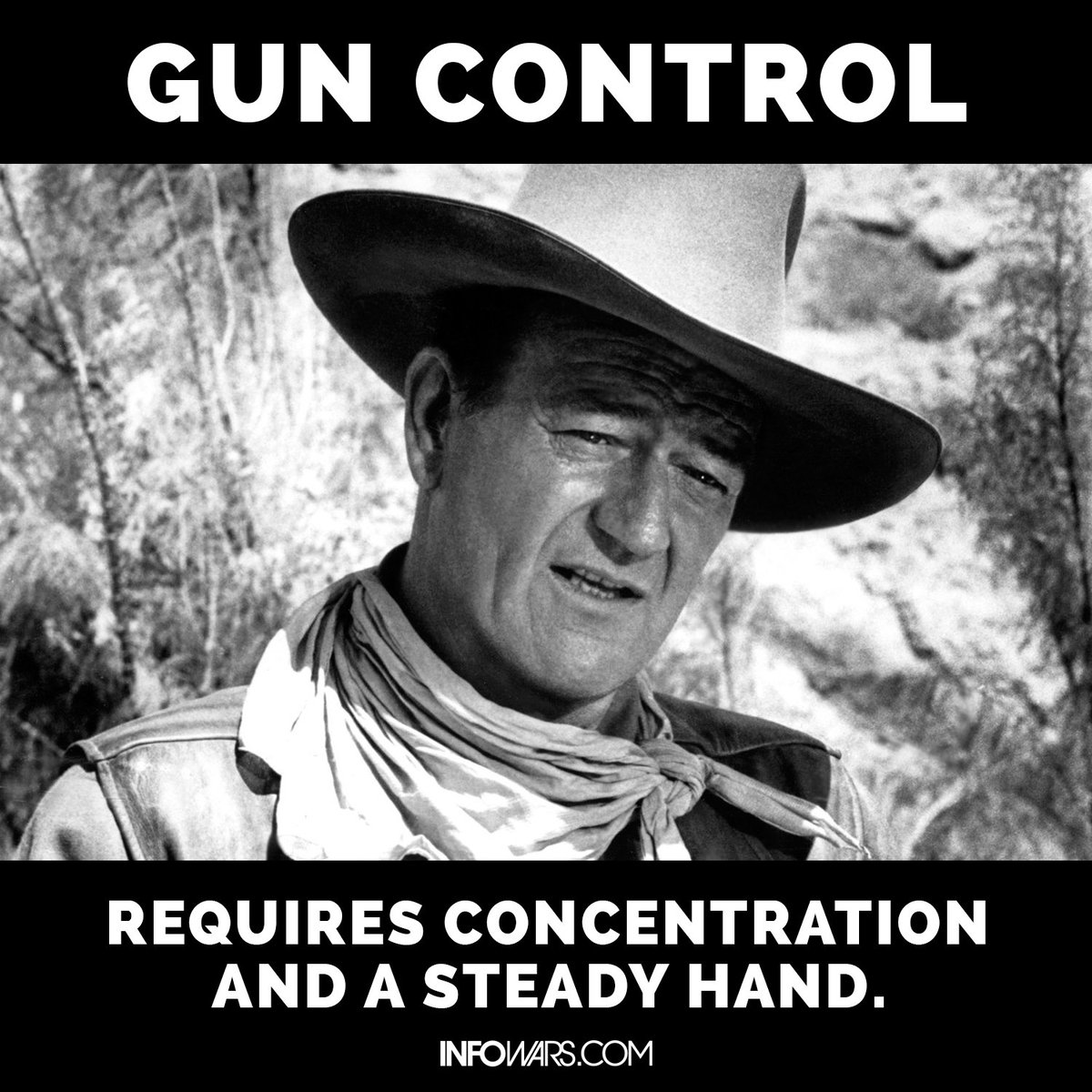 Alex Jones tweet media