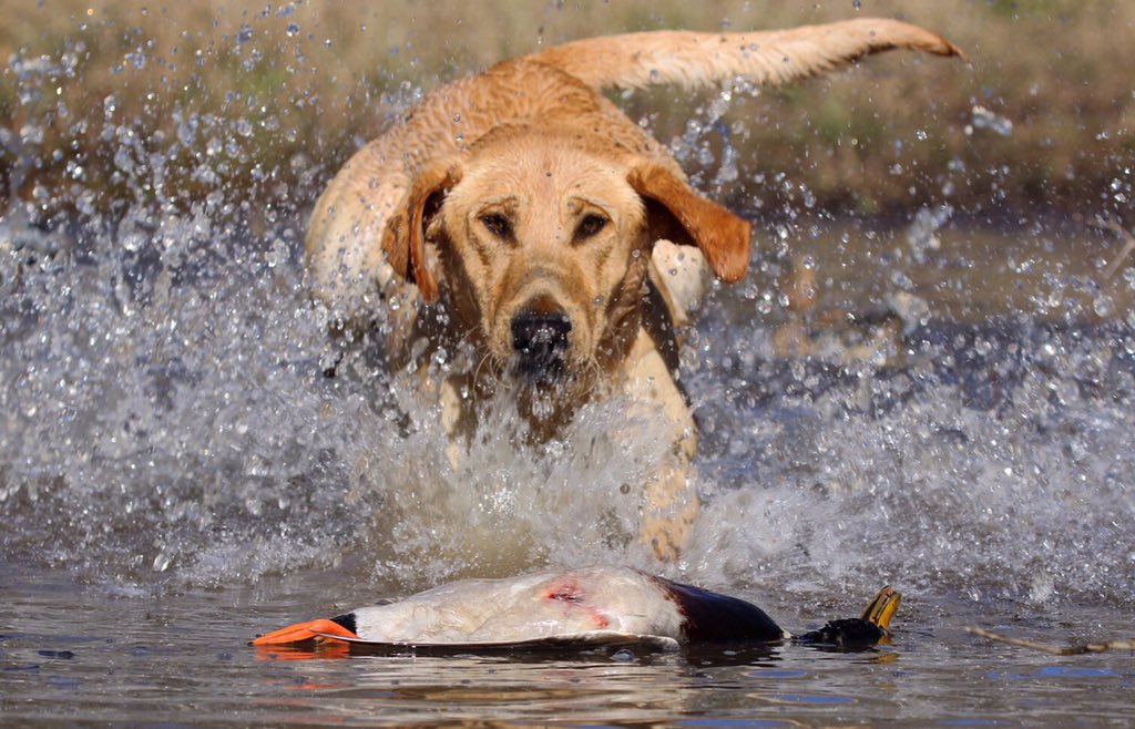 Spencer Griffith (GriffithSpencer) Twitter