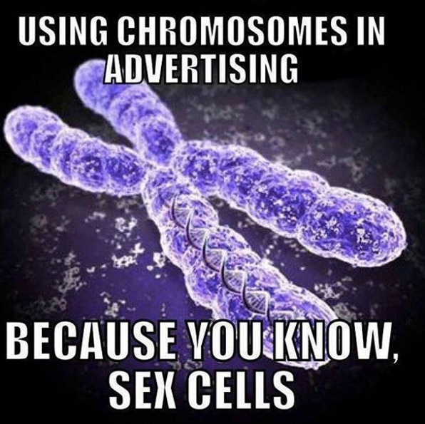 Sex cells.