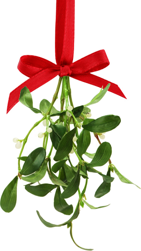SizzleKeyApp's tweet photo. #CouplesKeepItHot Here's some mistletoe to always have on hand so the kissing doesn't ever need to stop! https://t.co/ufLLEE8Kui