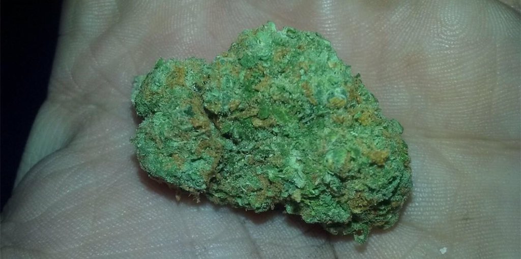 WeedReview420's tweet photo. Green Crack(Sativa)- Energetic,Happy,Uplifted high helps with Stress and Depression. Has a Sweet taste to it. 8/10🤘🏼 https://t.co/xHXOiQ0nqH