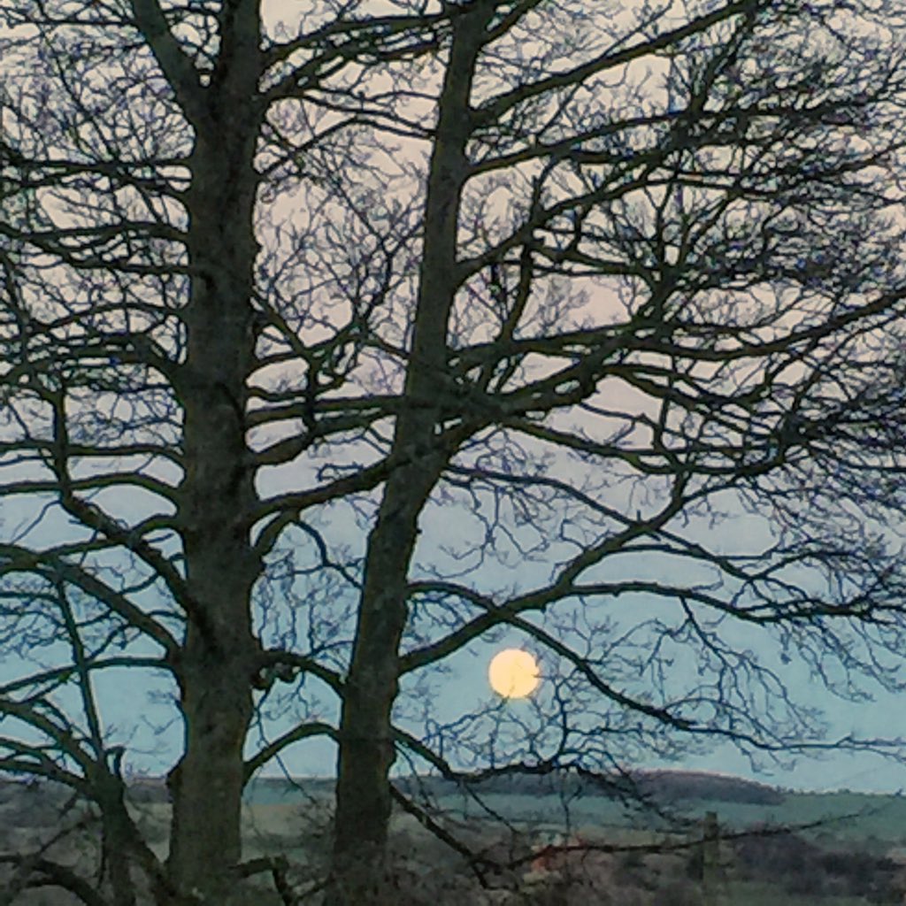 Moon over the North Yorkshire Moors | Christmas Day