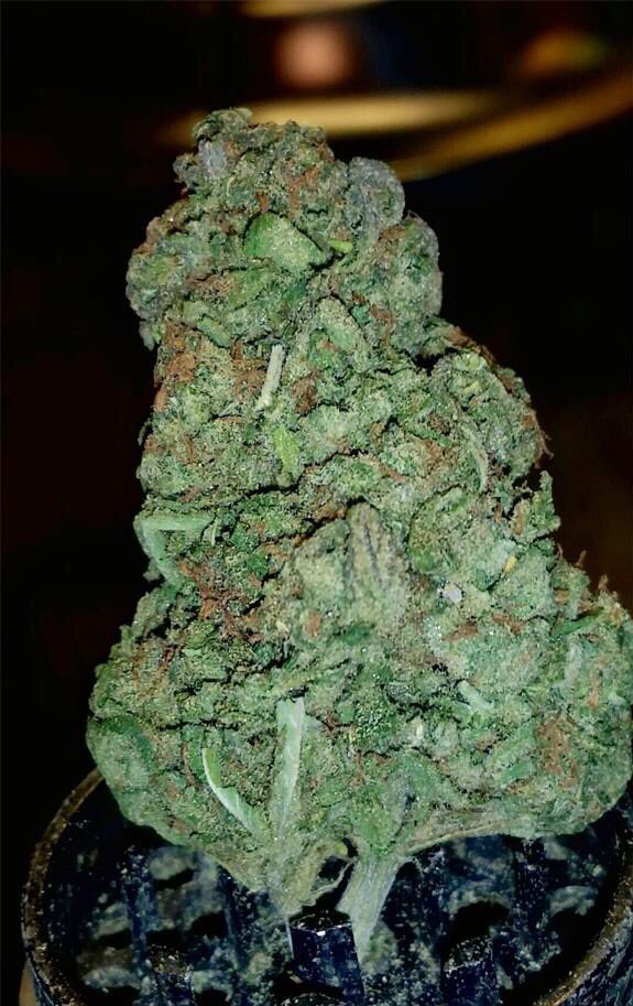 WeedReview420's tweet photo. Blue Dream(Hybrid)- Happy,Relaxed,Euphoric. Helps w/ Stress&amp;Depression. Blueberry &amp; Sweet taste. 9/10🤘🏼 https://t.co/8SkaTZorQ2