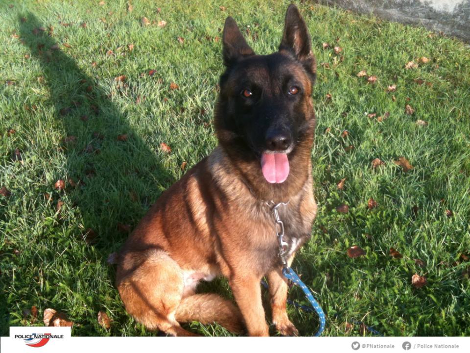 Embedded image permalink