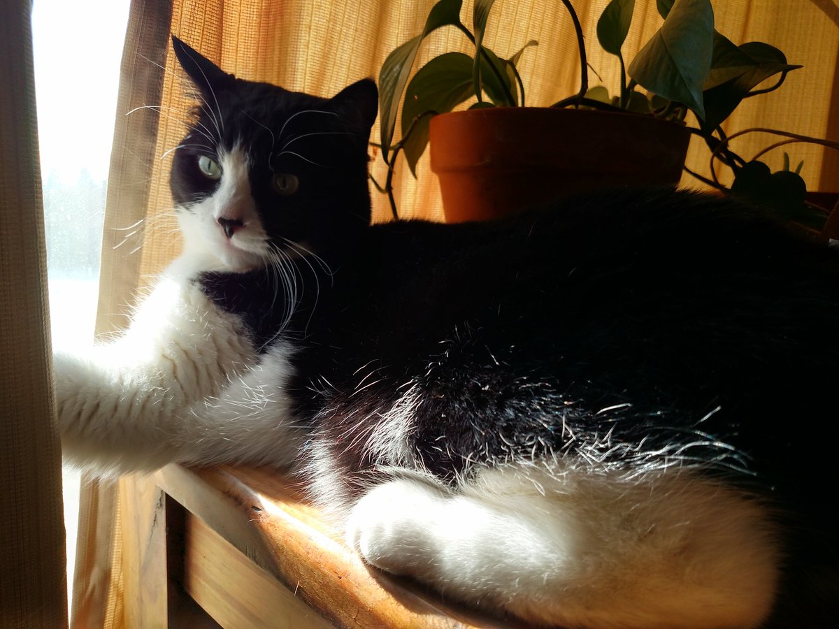 Embedded image permalink