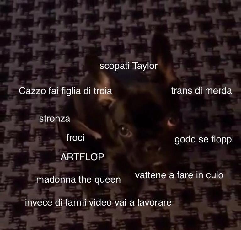 Bad Asia @looove_you_gaga