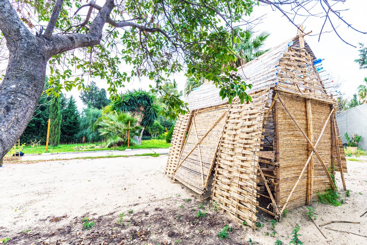 pezestudio's tweet photo. #AgroChambao en @lanoria_mlg Prototipo semilla #Málaga #Caña #Collaborative #Biobuilding https://t.co/MvGyi29T61 https://t.co/16UtRxmKGS