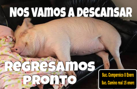 CarnitasDuarte's tweet photo. Regresamos pronto Suc. Copernico 8 de Enero.    Suc. Camino Real 15 de Enero https://t.co/Wgu6kdn1Py