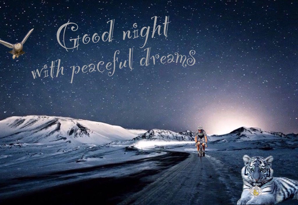 WensWish's tweet photo. 💤😴😚💤#earlybird #needit #littlesick #goodnight #sweetdreams https://t.co/YrcW4wv0JU