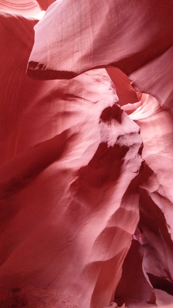 BAlexanderD's tweet image. For her birthday we swam with Bruce in a cave, met a chief and saw bae in the wind. Happy birthday dude!!!!