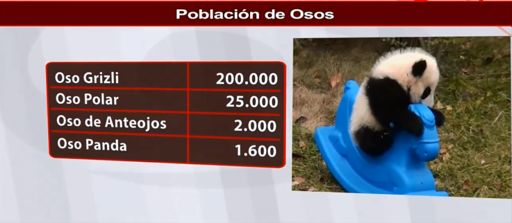 NoticiasUno's tweet photo. #Indicadores Con tanto oso, Colombia podría superar la población mundial --> https://t.co/tDFDSKX9JR #Osos2015 https://t.co/9ZuR0oEHVV