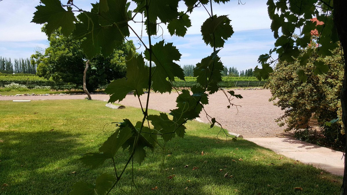 EntreveroW's tweet image. Fin visita #Lunlunta #Entrevero #GreenBlend