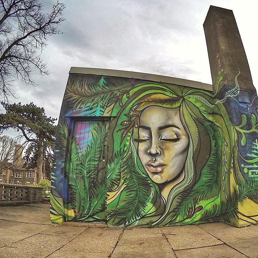 StArtEverywhere's tweet photo. Art by @hazard0ne #hazardone in #bristol #bristolstreetart #bristolgraffiti #streetartbristol #graffitibristol U.K … https://t.co/xXj7wYa13n