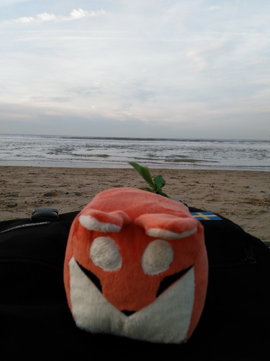 DrBoxfox's tweet photo. Had a wonderful day at the beach in #Scheveningen #Boxfox https://t.co/5QsdBjIL8l