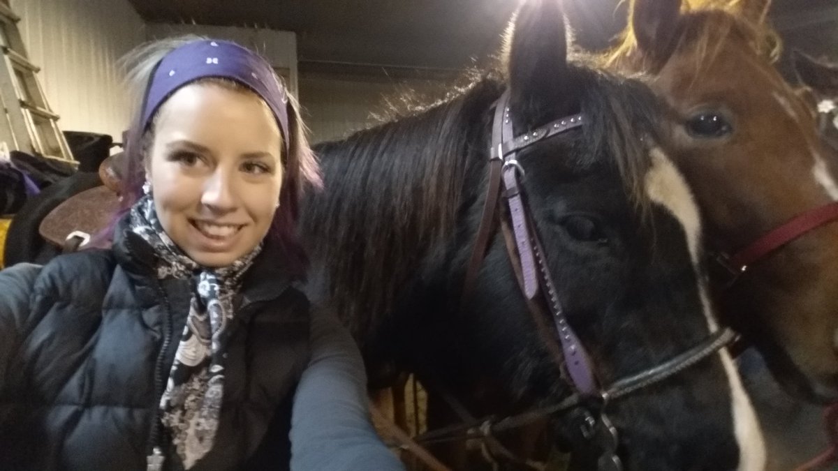 TJMRodeoReady's tweet photo. Little love for my #mainmountmonday #mcm #HorseHour he's rad in purple. https://t.co/zk4XQRfB8E