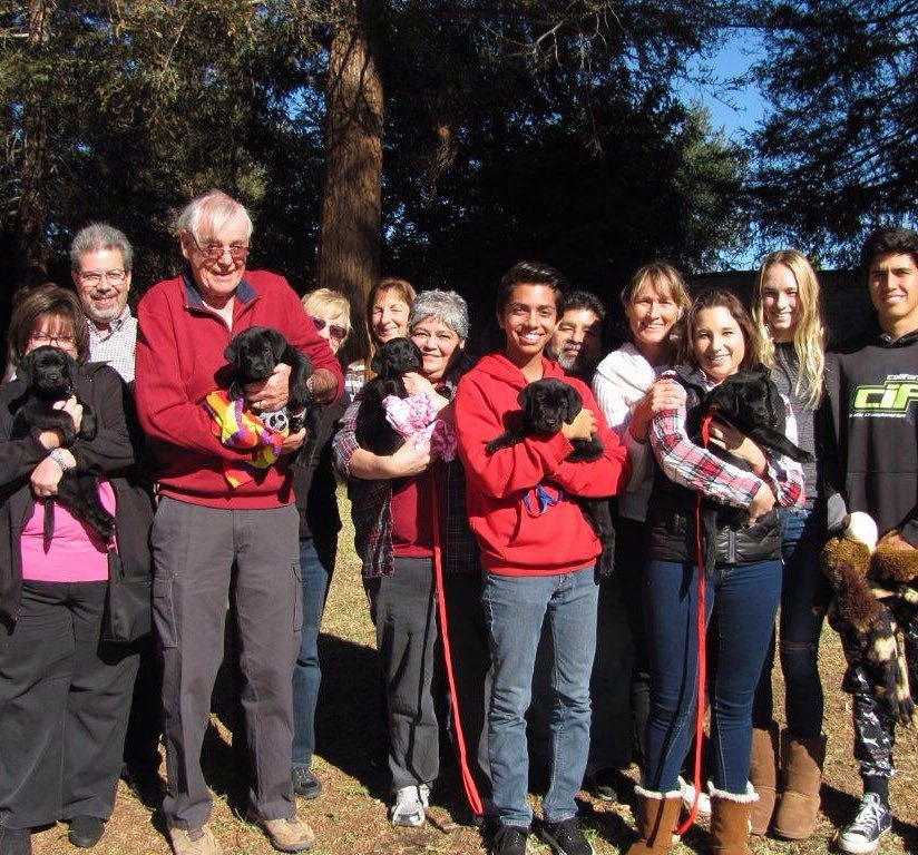 GuideDogsGDA's tweet photo. Happy Monday to #guidedogsgda "M" litter who went home with their Guide Dogs of America vo… https://t.co/G9ML3p7MHN https://t.co/IqVDmpmQwi