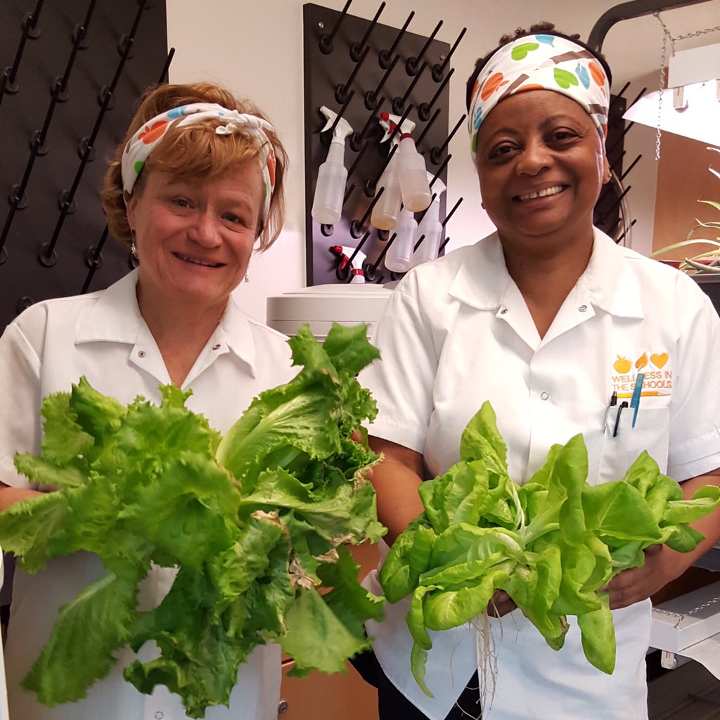billtelepan's tweet photo. @WITSinSchools harvest from @TowerGarden. Great things come from great partnerships #greenforkids #iheartwits https://t.co/286D8vKtrj